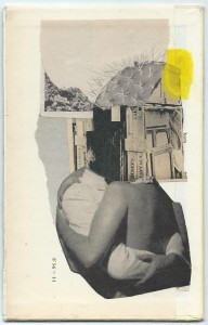 47-13 x 20.5 collage